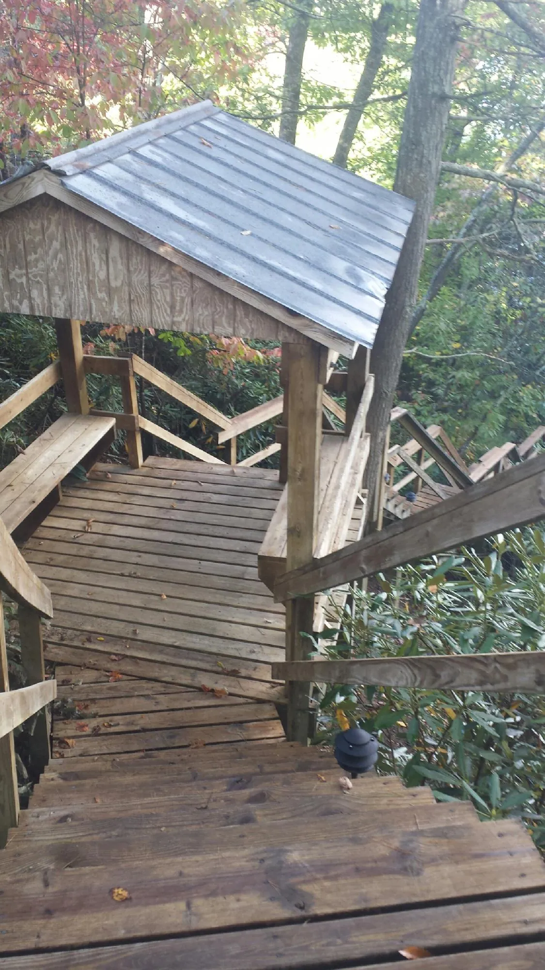 Metal roofed shelter over wooden steps on a wooded walkway — Skylight Repair & Installation work by our crew in Dalzell